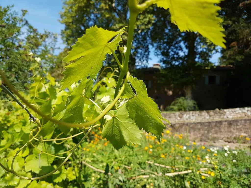 Chateau Labistoul Campes